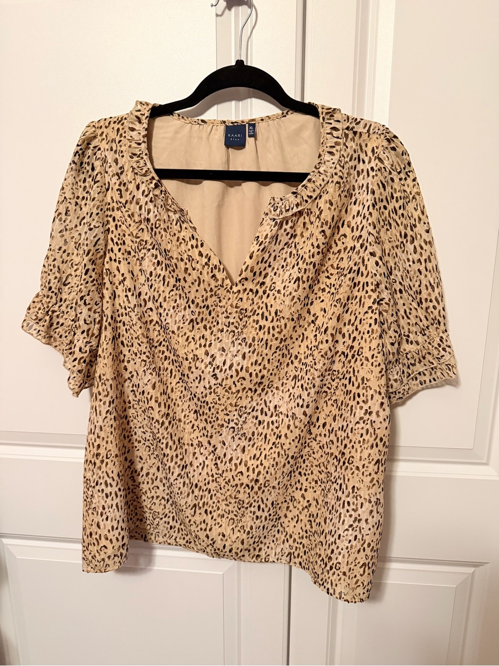 Kaari Blue Neutral Leopard-Print V-Neck Blouse